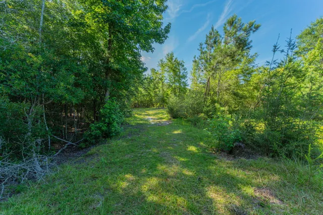 $800,000 | 139-acres Yorkey Road, Westville, FL 32464
