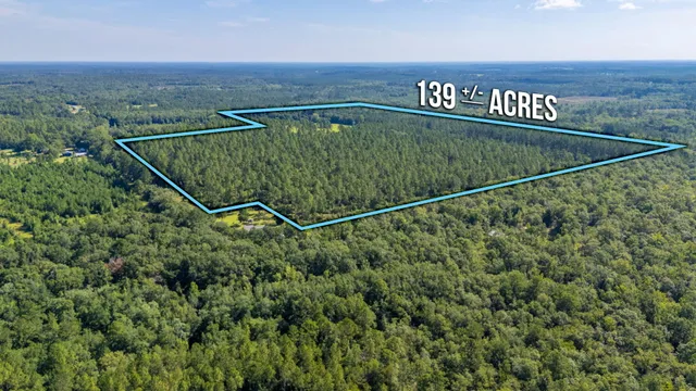 $800,000 | 139-acres Yorkey Road, Westville, FL 32464