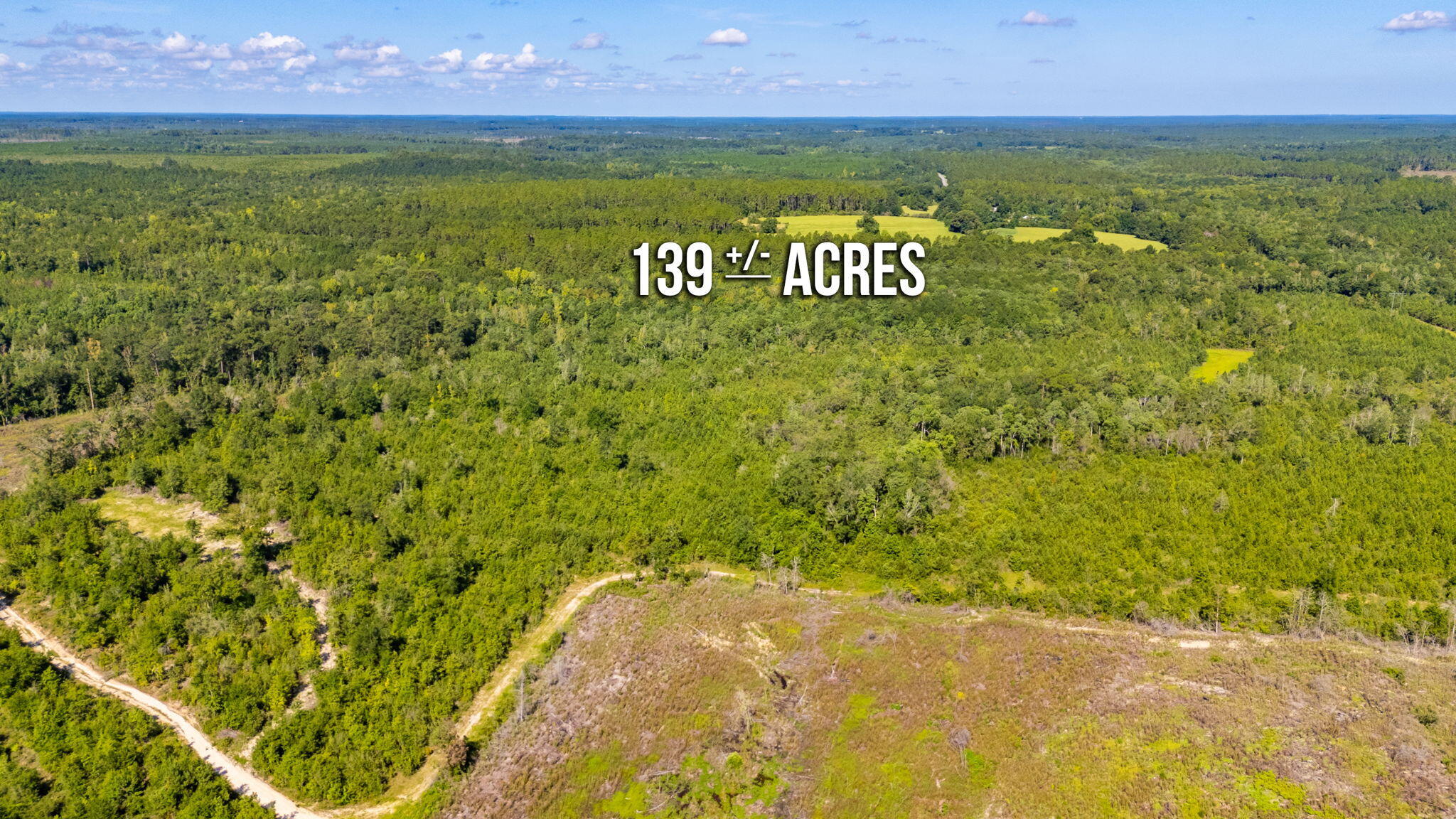 139-acres Yorkey Road Westville, FL 32464 - Photo 29 of 37 a view of a field with an ocean view