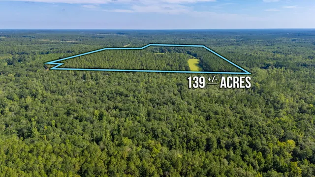 $800,000 | 139-acres Yorkey Road, Westville, FL 32464
