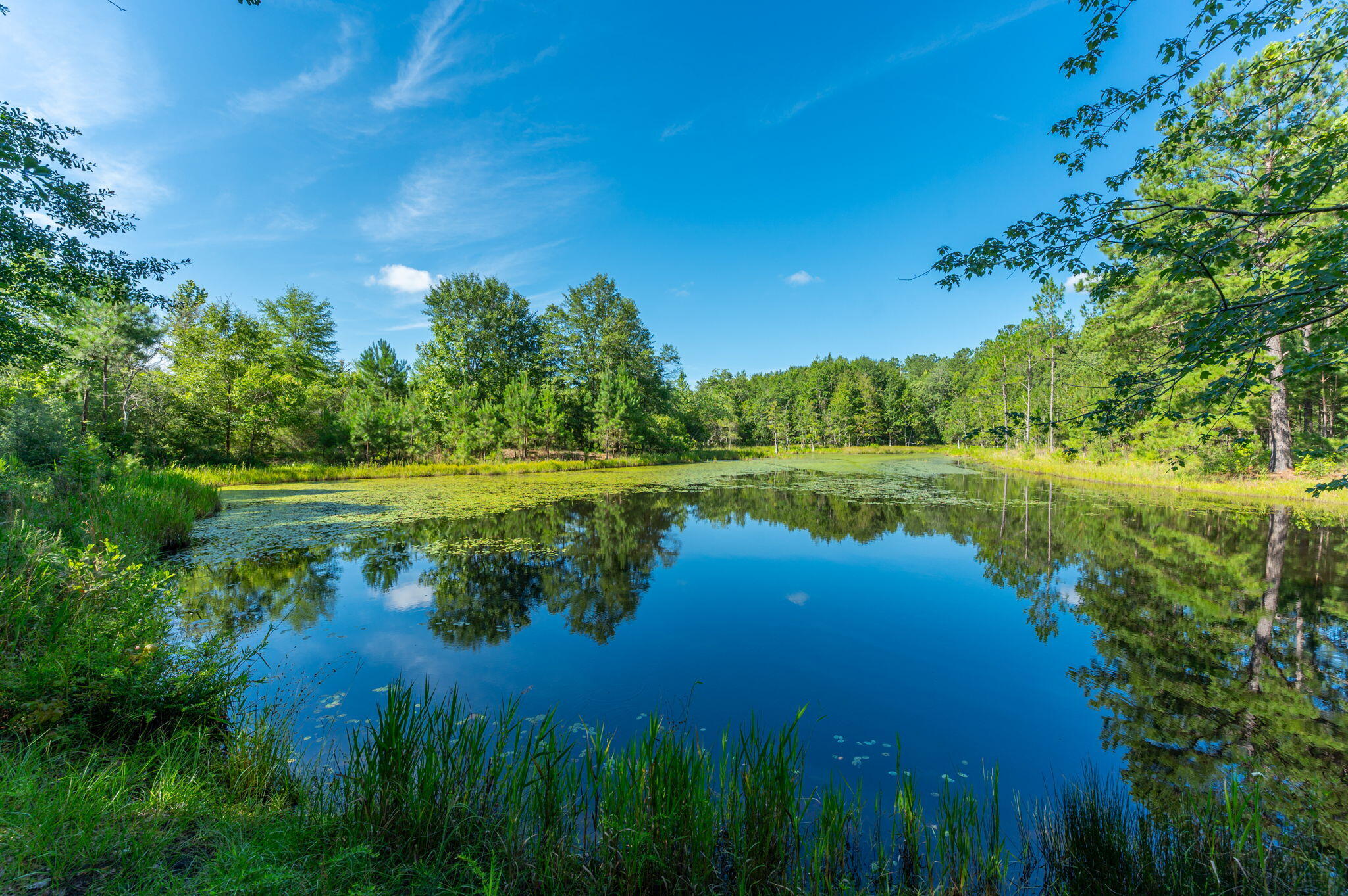 139-acres Yorkey Road Westville, FL 32464 - Photo 3 of 37 a view of a lake with a big yard
