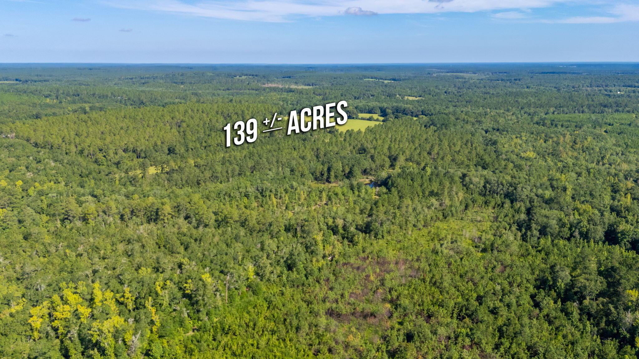 139-acres Yorkey Road Westville, FL 32464 - Photo 31 of 37 a view of a lush green field