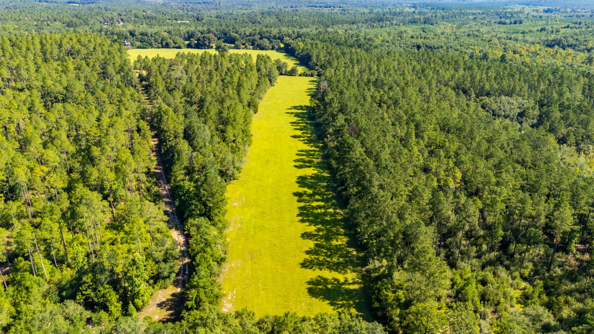 139-acres Yorkey Road Westville, FL 32464 - Photo 35 of 37 a view of lake view