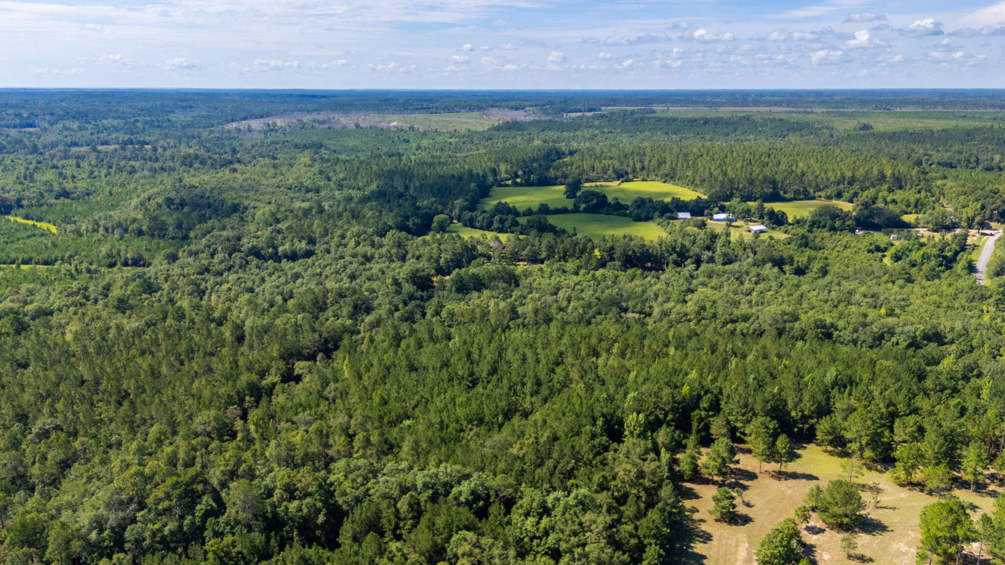 139-acres Yorkey Road Westville, FL 32464 - Photo 37 of 37 a view of a lush green forest with lots of trees