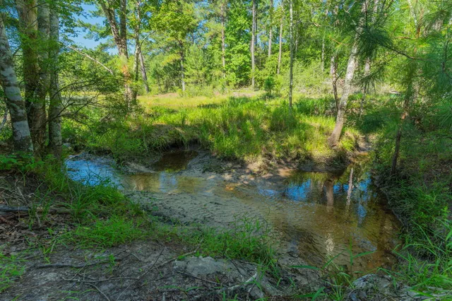 $800,000 | 139-acres Yorkey Road, Westville, FL 32464