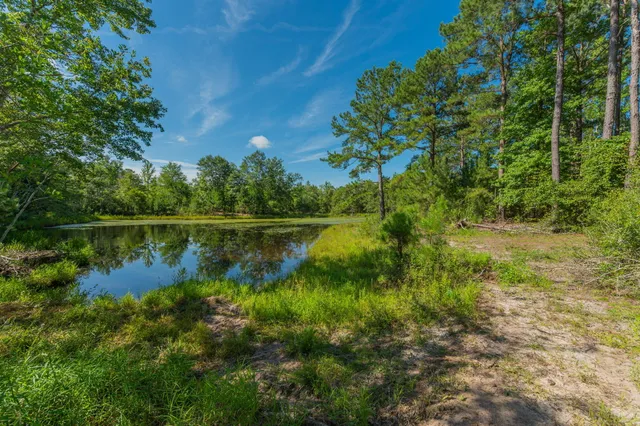 $800,000 | 139-acres Yorkey Road, Westville, FL 32464