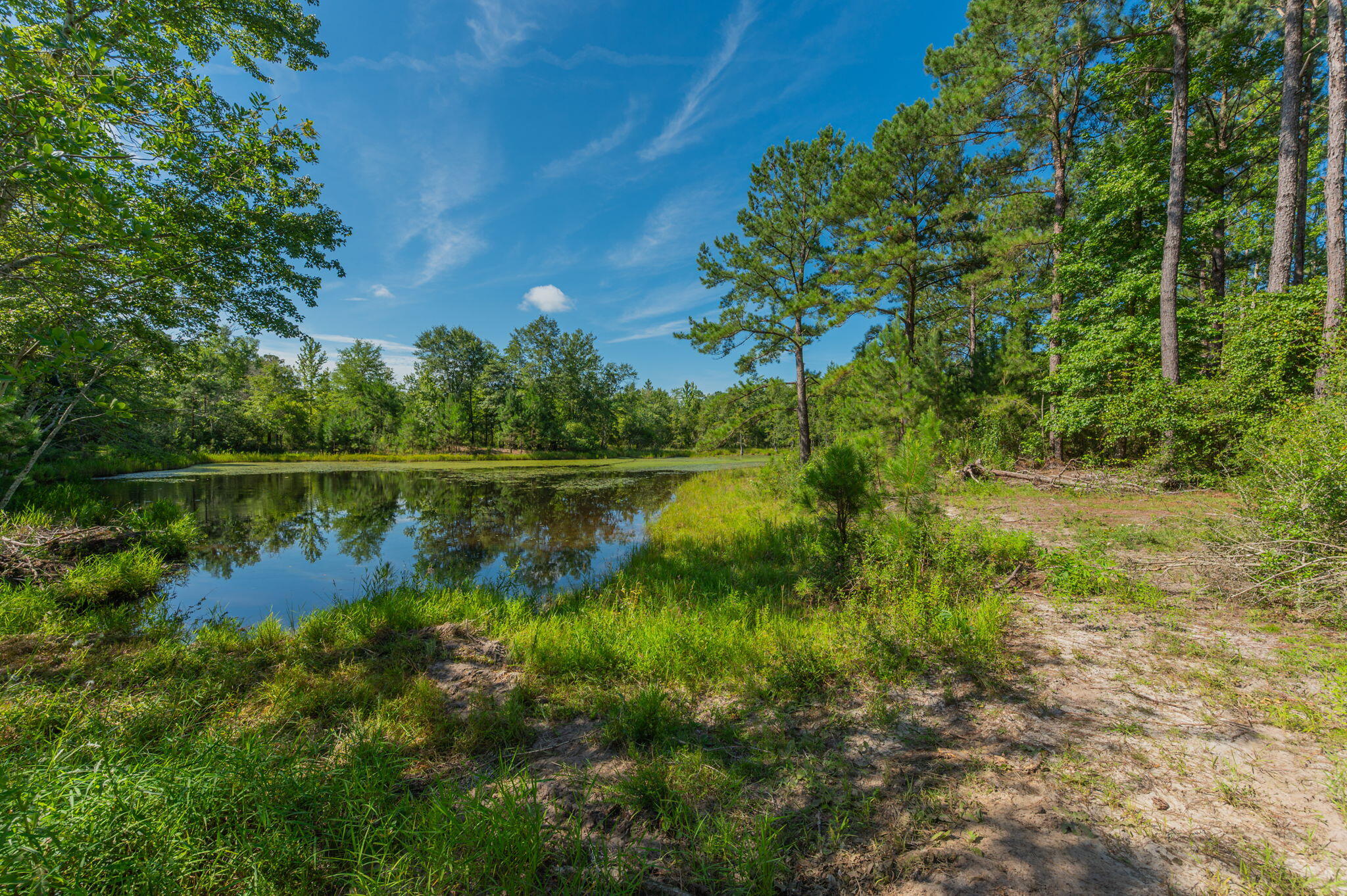 139-acres Yorkey Road Westville, FL 32464 - Photo 6 of 37 a view of lake with green space