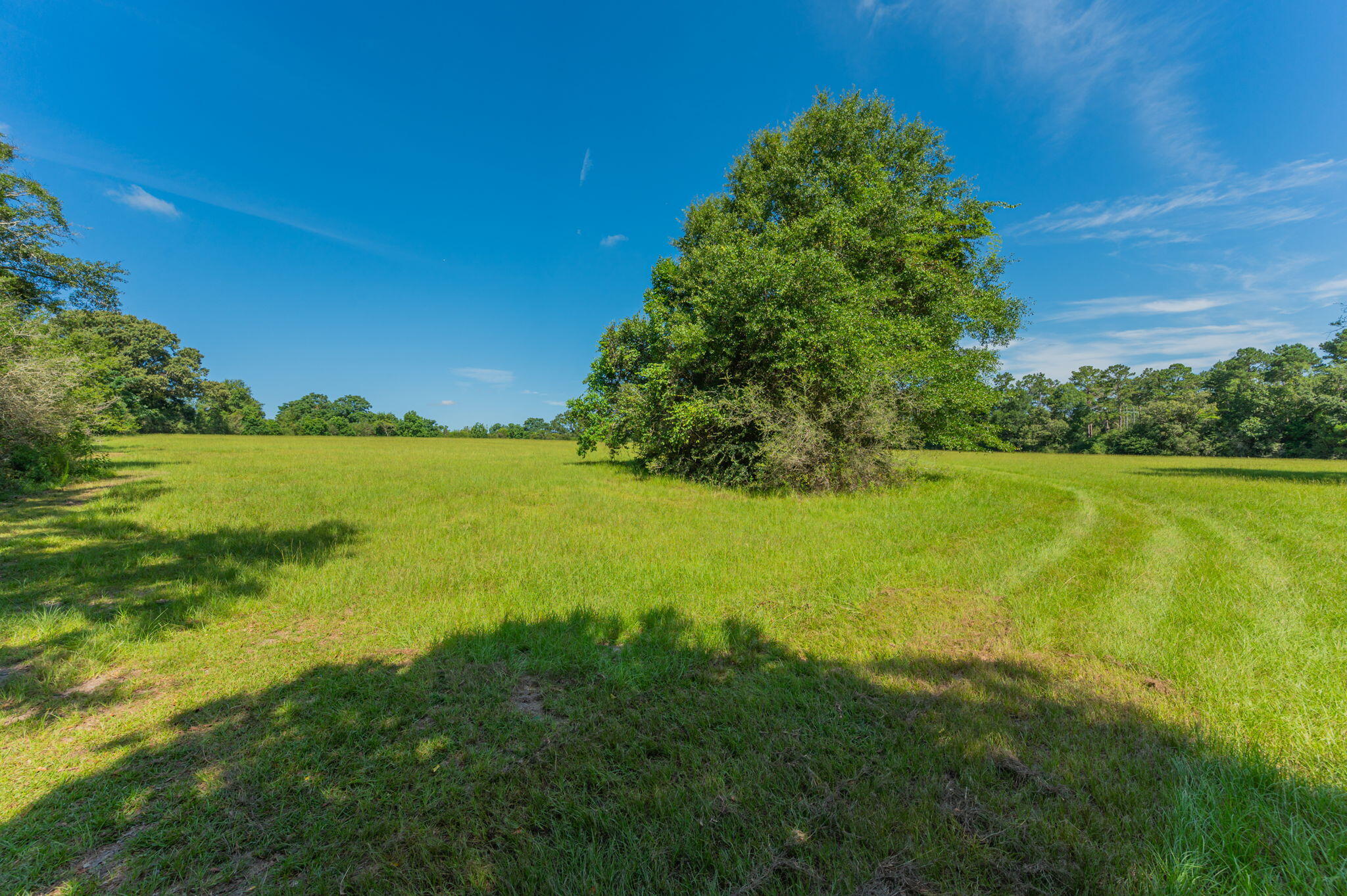 139-acres Yorkey Road Westville, FL 32464 - Photo 9 of 37 a view of an ocean from a yard