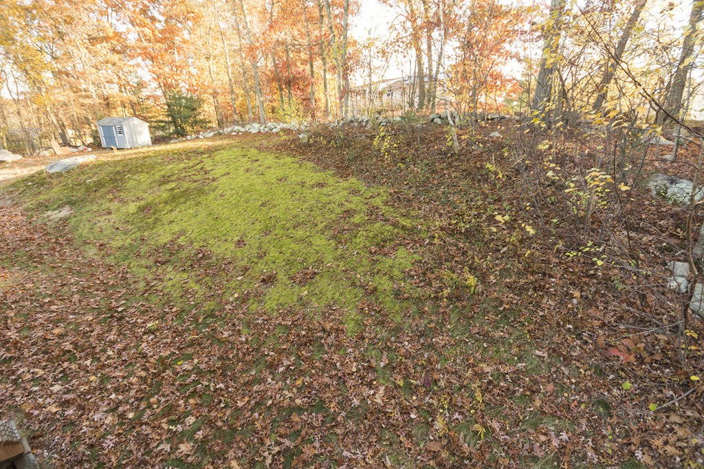 35 Emily Jeffers Road, Unit 35 Randolph, MA 02368 - Photo 21 of 21 Gallery Image 21