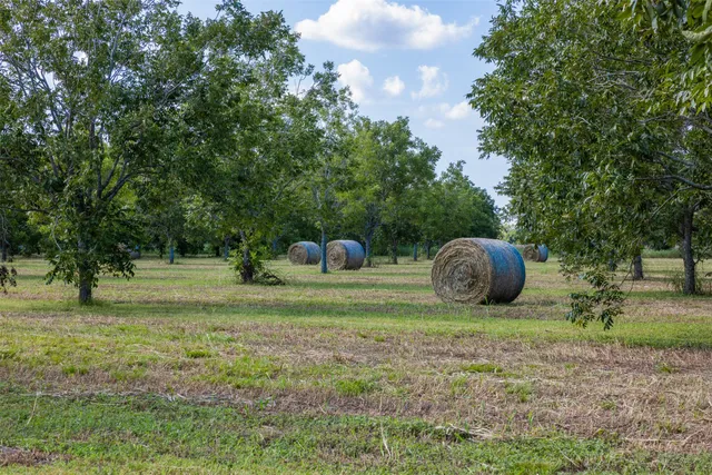 a view of a outdoor space with a garden and entertaining space
