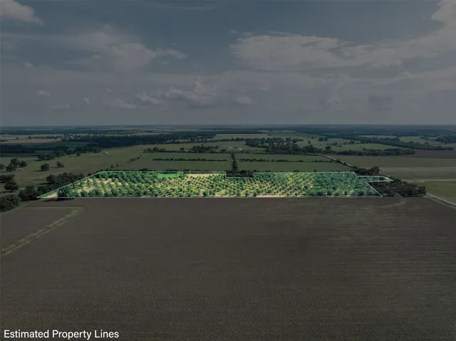 a view of a city street from a yard