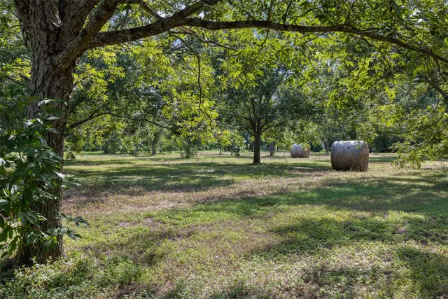 a backyard of a house with lots of green space and fountain
