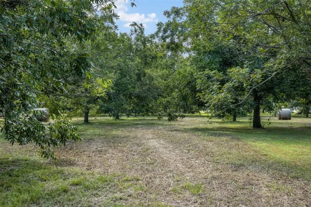 a view of a field with trees in the background