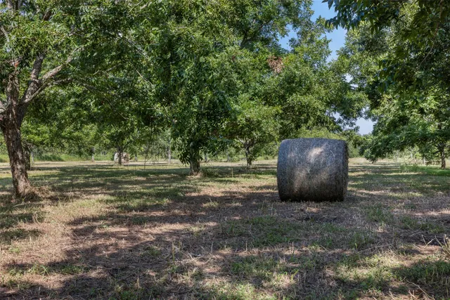 a view of a field with trees in the background