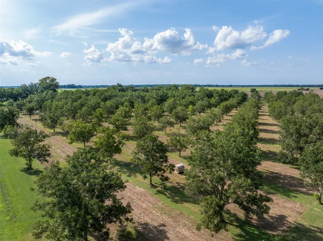 a view of a lake in middle of forest