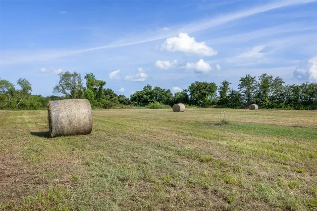 a view of a field of grass and trees