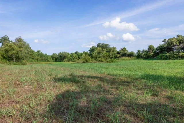 a view of a field of grass and trees