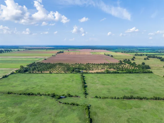 a view of yard with swimming pool and green space