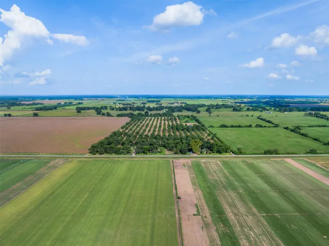a view of a city and mountains in a field