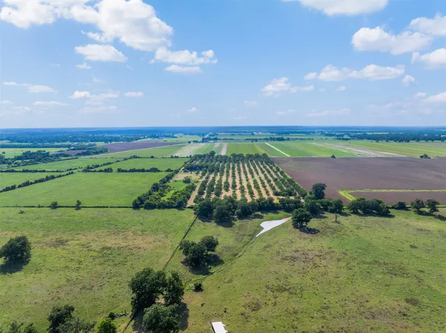 a view of a bunch of trees and a yard