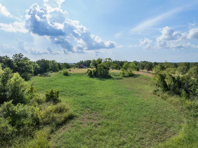 a view of a garden with small plants