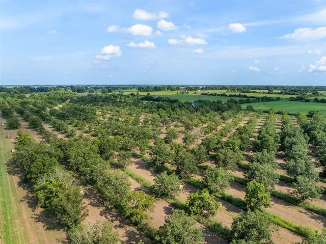 a view of a house with swimming pool and a yard