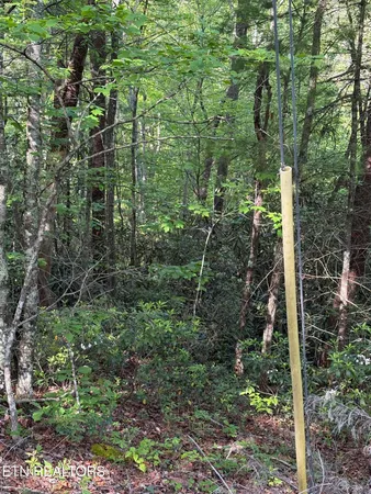 $49,900 | Lot 6 Walnut Flats Road, Walland, TN 37886