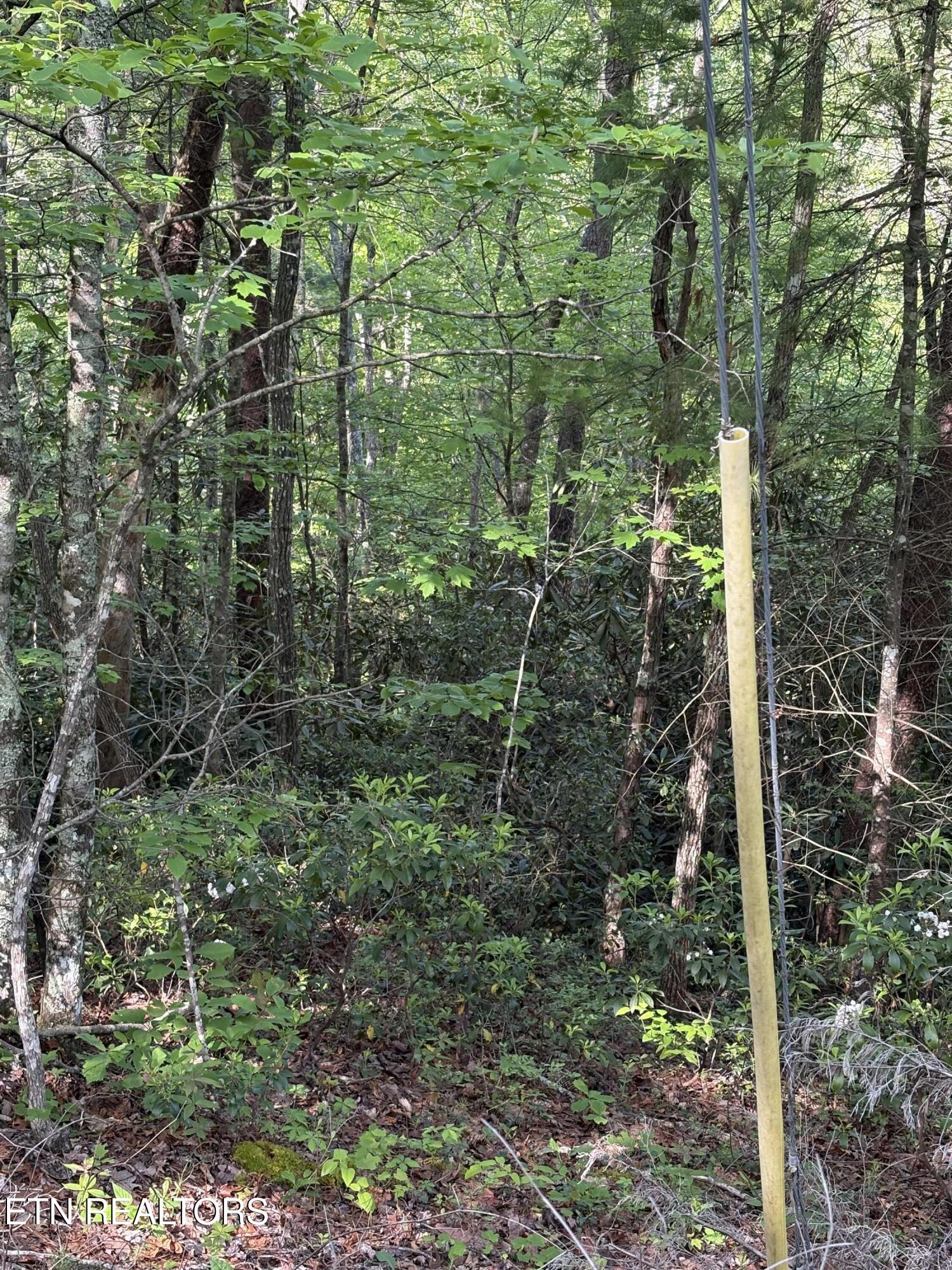 Lot 6 Walnut Flats Road Walland, TN 37886 - Photo 1 of 11 IMG_3930