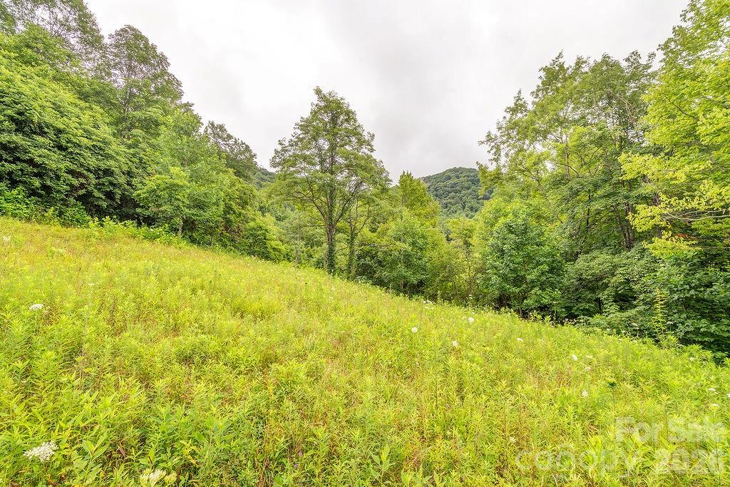 8485 Meadow Fork Road Hot Springs, NC 28743 - Photo 36 of 36 Gallery Image 36