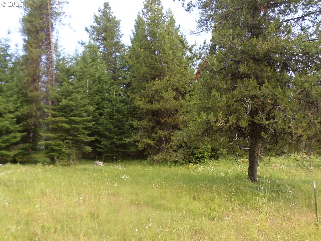 0 Akers Butte Road Imnaha, OR 97842 - Photo 2 of 5 a view of lake view