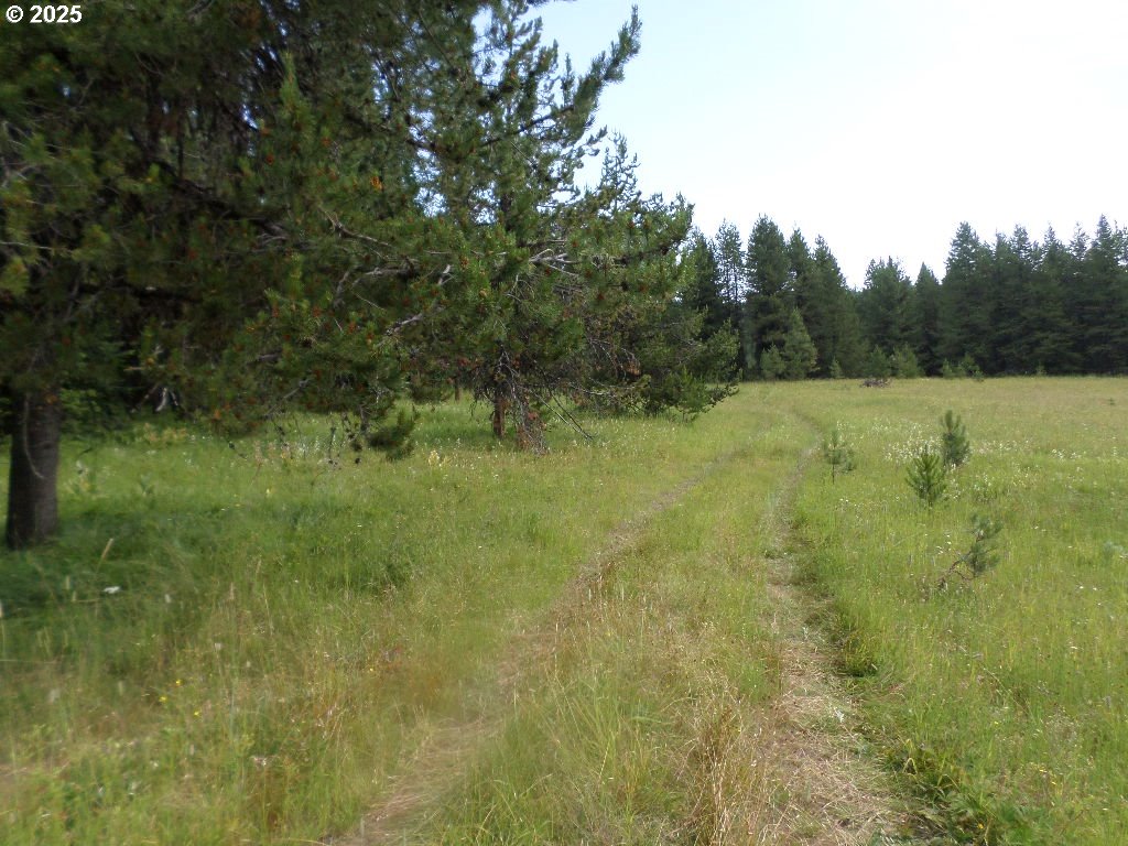 0 Akers Butte Road Imnaha, OR 97842 - Photo 3 of 5 a view of an outdoor space and a yard
