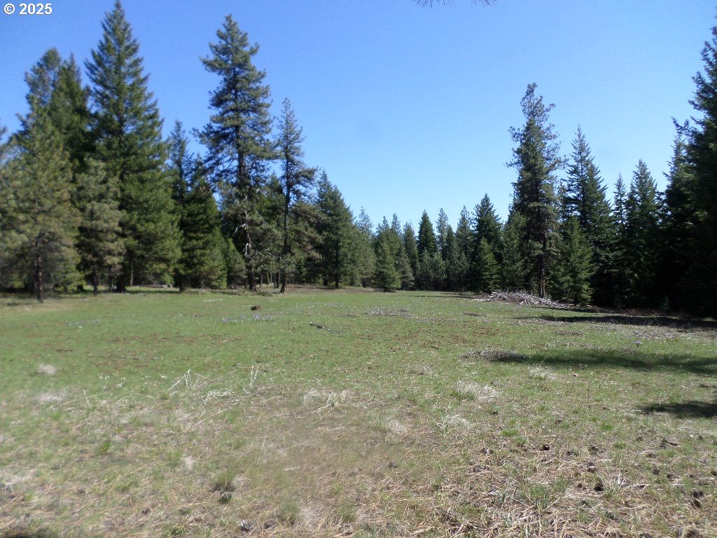 0 Akers Butte Road Imnaha, OR 97842 - Photo 4 of 5 a view of outdoor space with trees