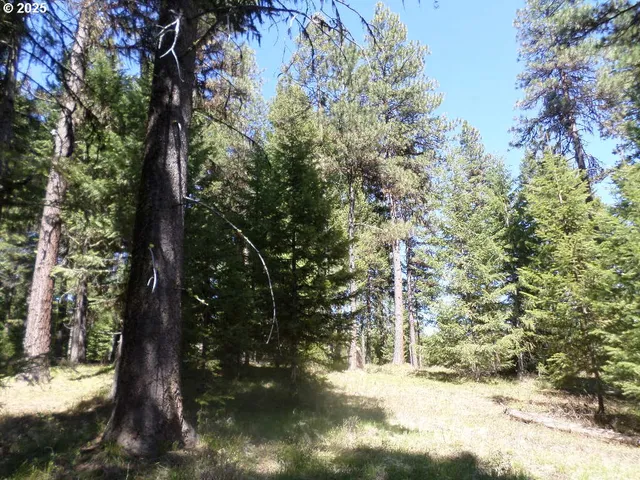a view of outdoor space with trees