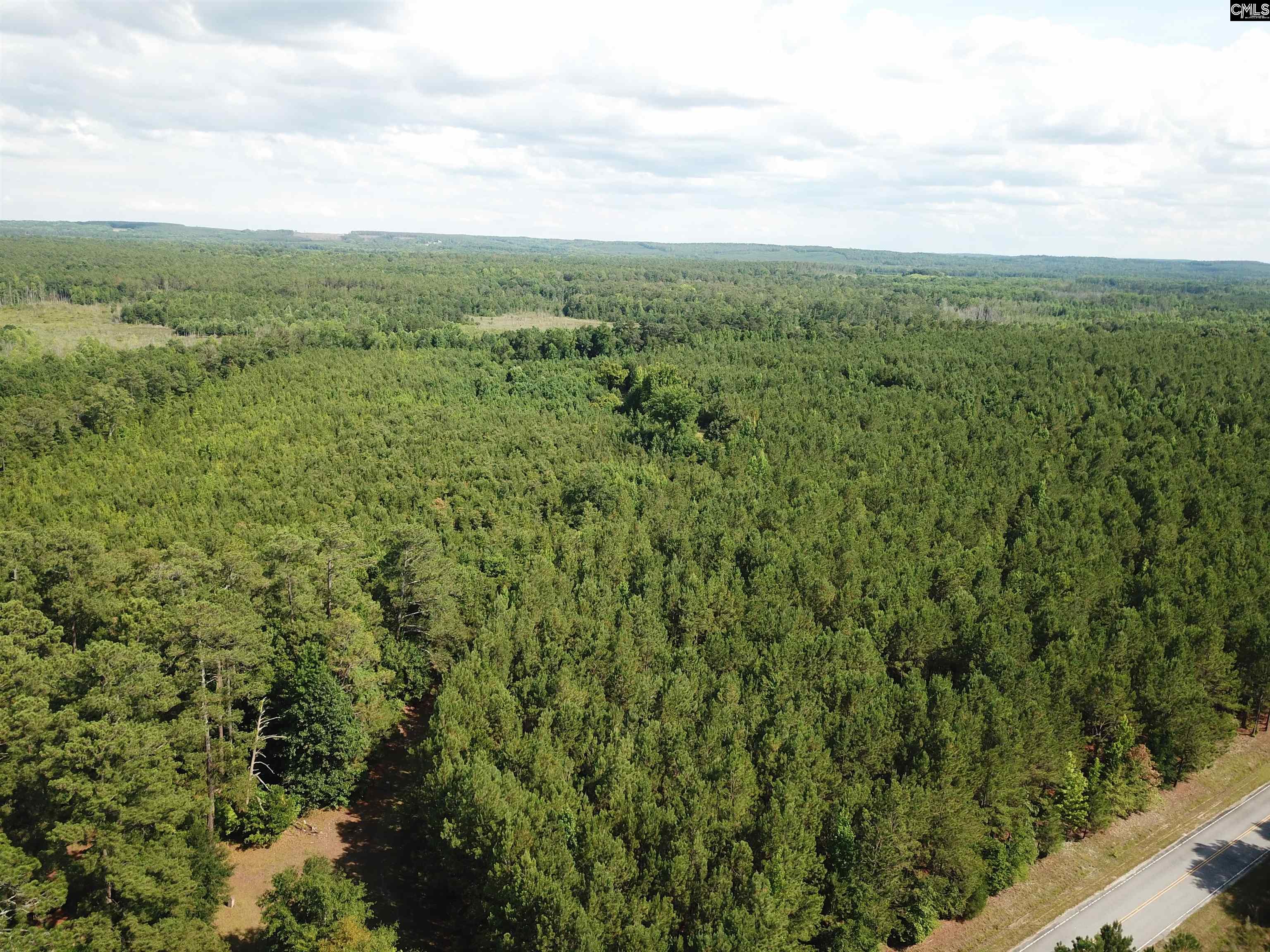 91 Shiver Road Rembert, SC 29128 - Photo 11 of 23