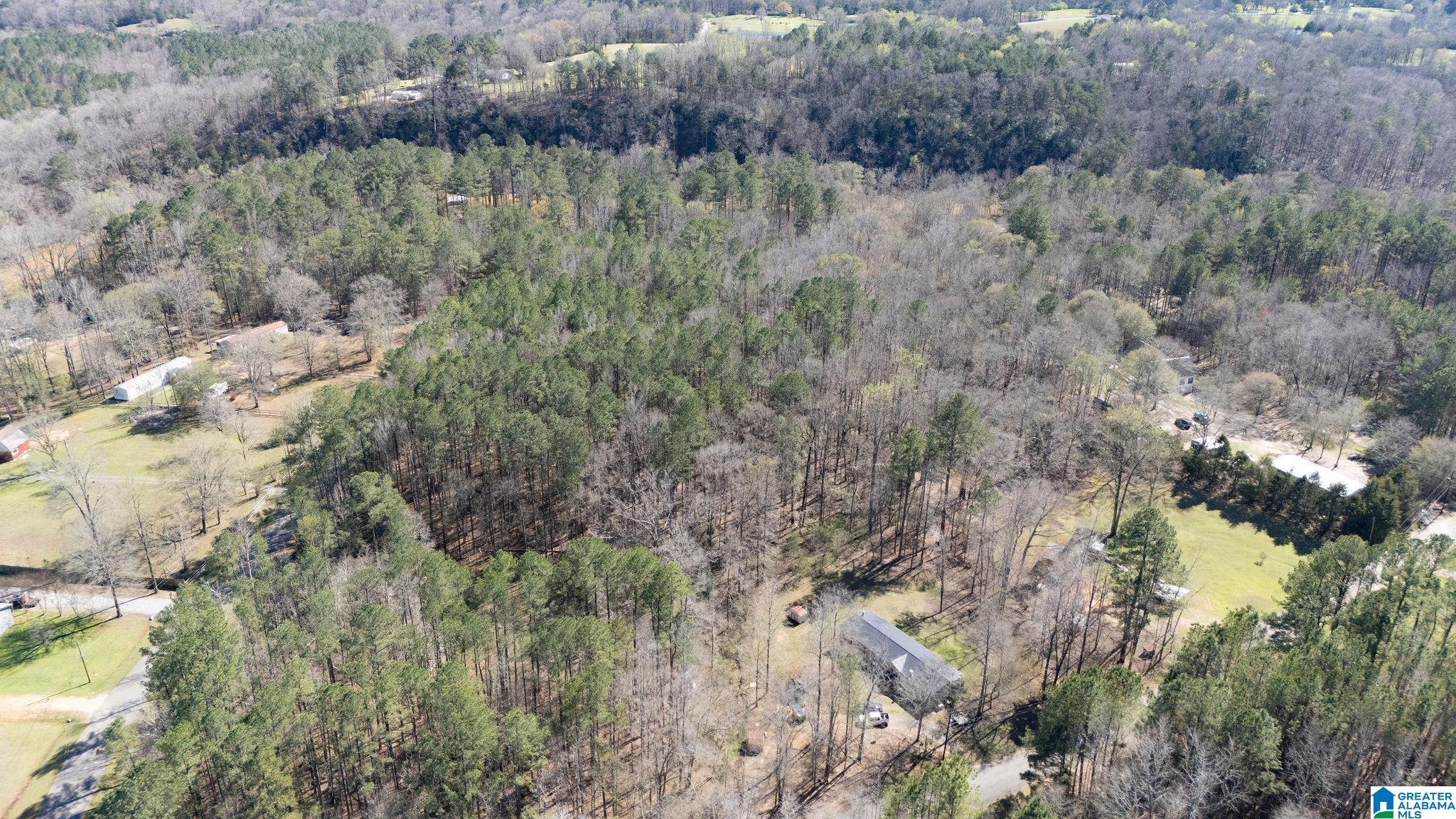 29 North Northview Circle, Unit 29 Northport, AL 35475 - Photo 8 of 16
