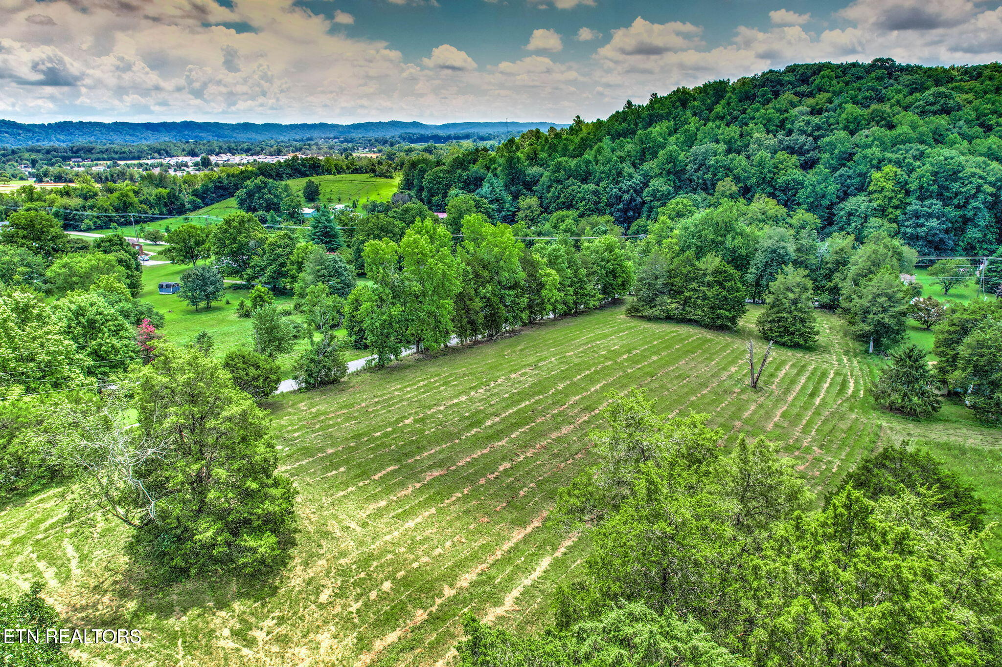 8050 Lett Road Corryton, TN 37721 - Photo 39 of 41 Acerage