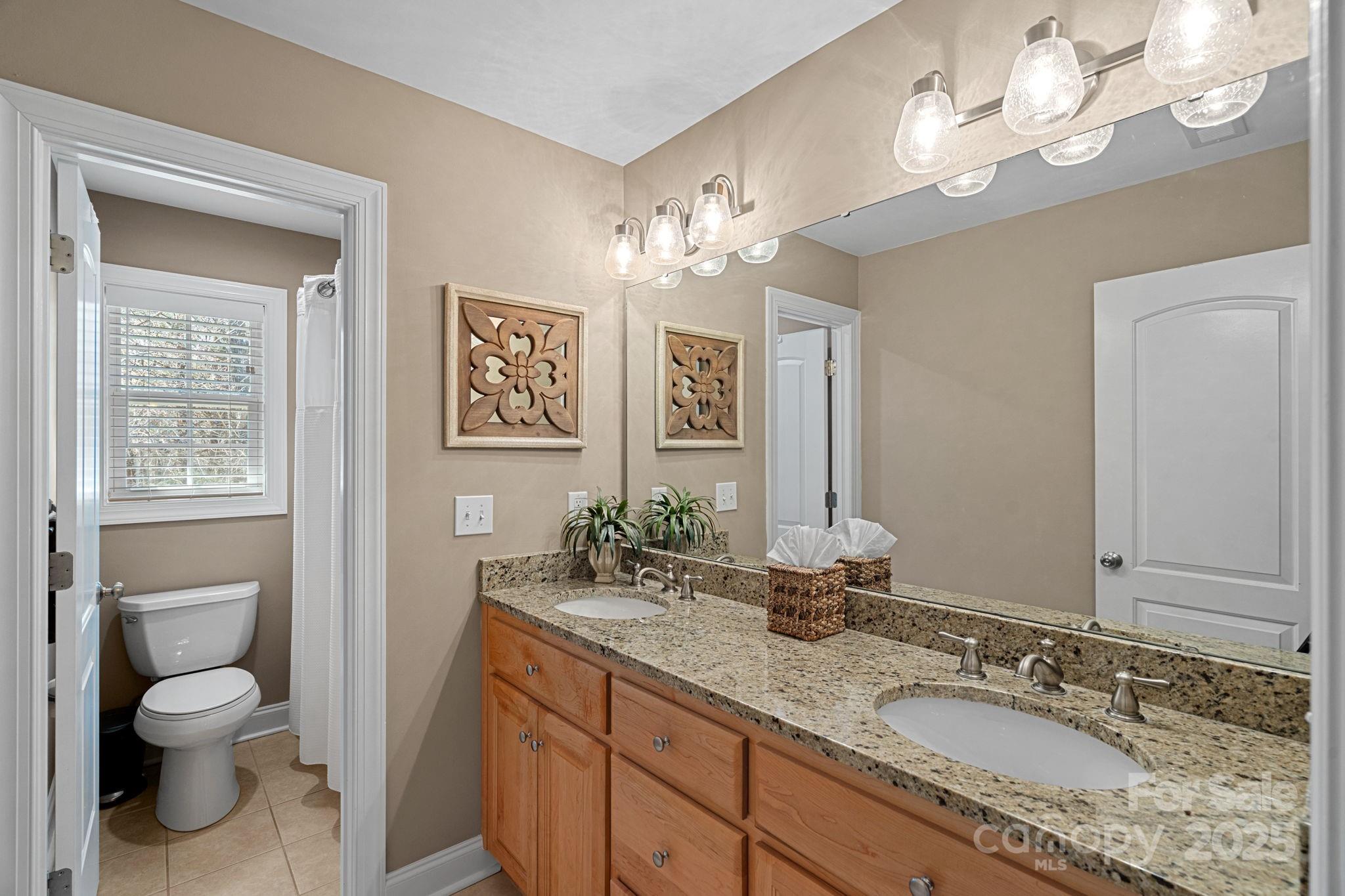 105 Elizabeth Brook Drive Davidson, NC 28036 - Photo 24 of 43 a bathroom with a granite countertop toilet a sink and a mirror