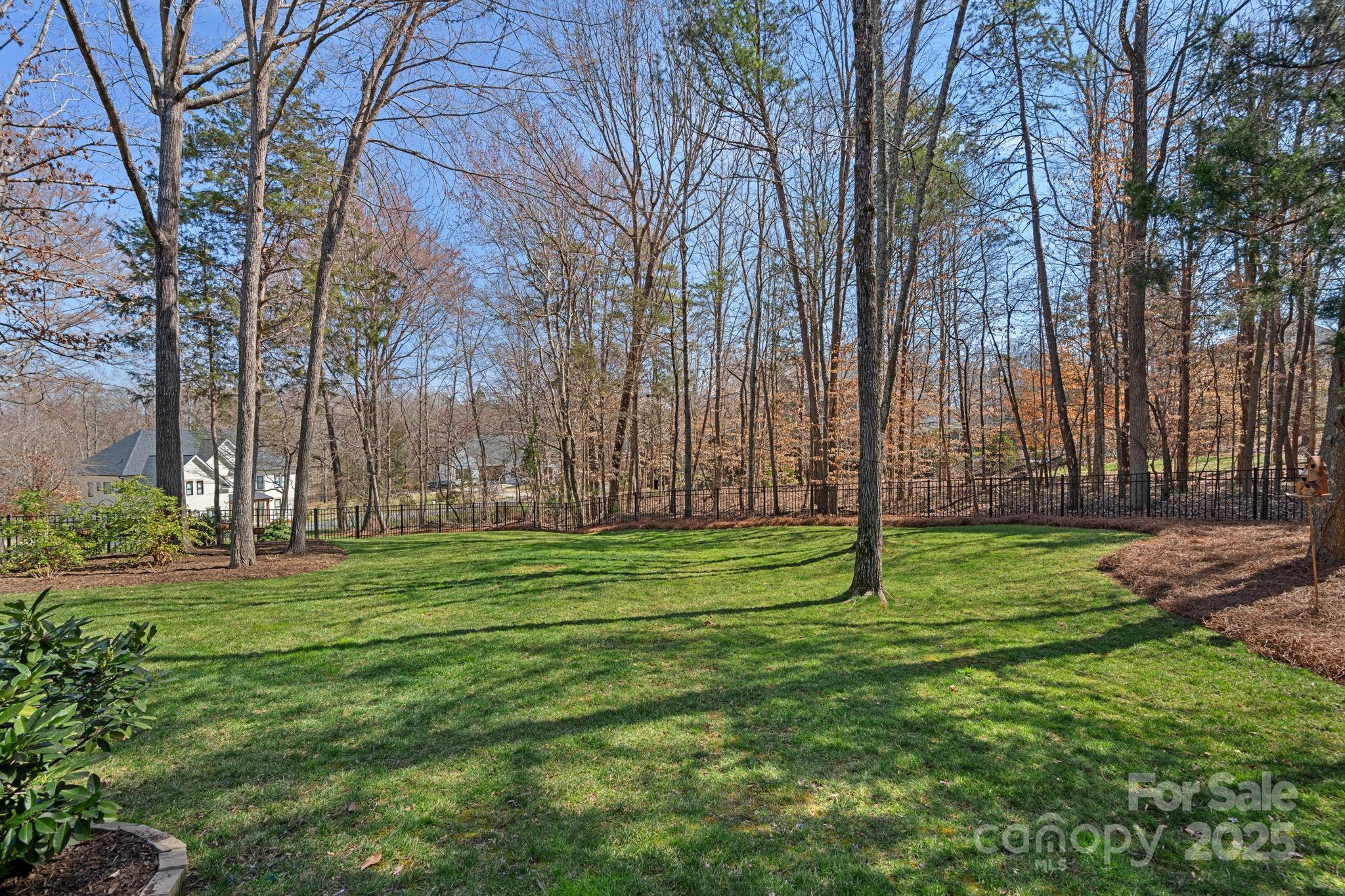 105 Elizabeth Brook Drive Davidson, NC 28036 - Photo 33 of 43 a backyard of a house with lots of green space and trees