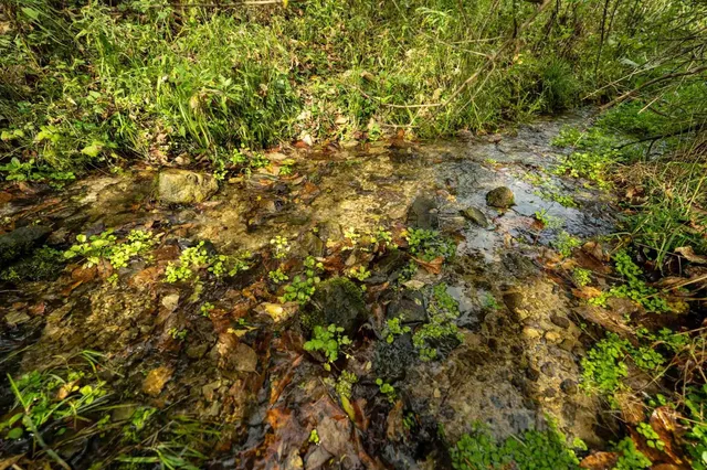 $499,900 | E11695 Chadwick Hollow Road, Viola, WI 54664