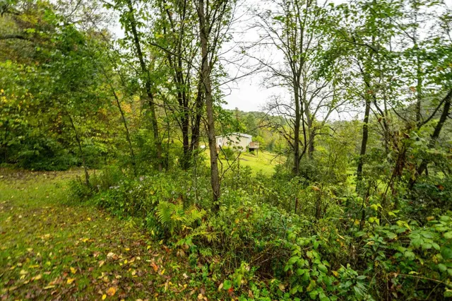 $499,900 | E11695 Chadwick Hollow Road, Viola, WI 54664