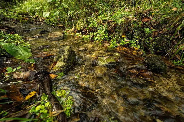 $499,900 | E11695 Chadwick Hollow Road, Viola, WI 54664