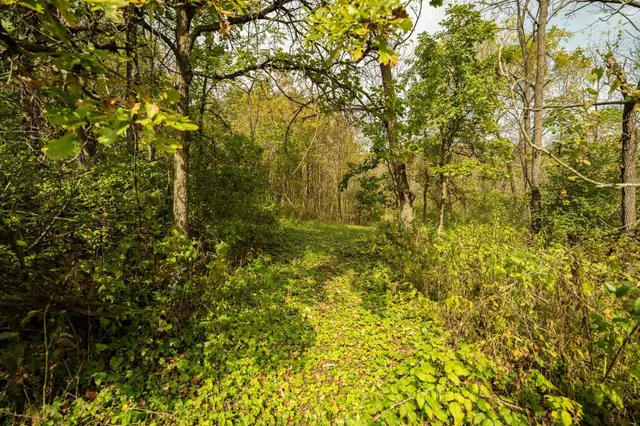 $499,900 | E11695 Chadwick Hollow Road, Viola, WI 54664