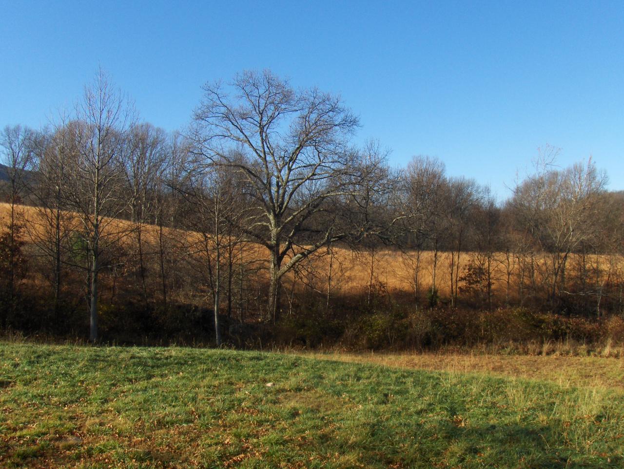 3220 Green Valley Road Peterstown, WV 24963 - Photo 36 of 43 lot views 1