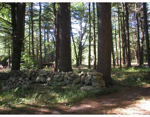 0 Ten Ten Rod Road Exeter, RI 02822 - Photo 4 of 4 Land/Lot.