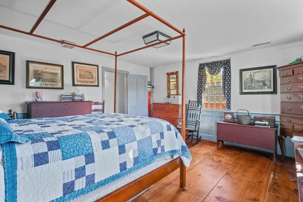 a view of a yard with plants and a trees