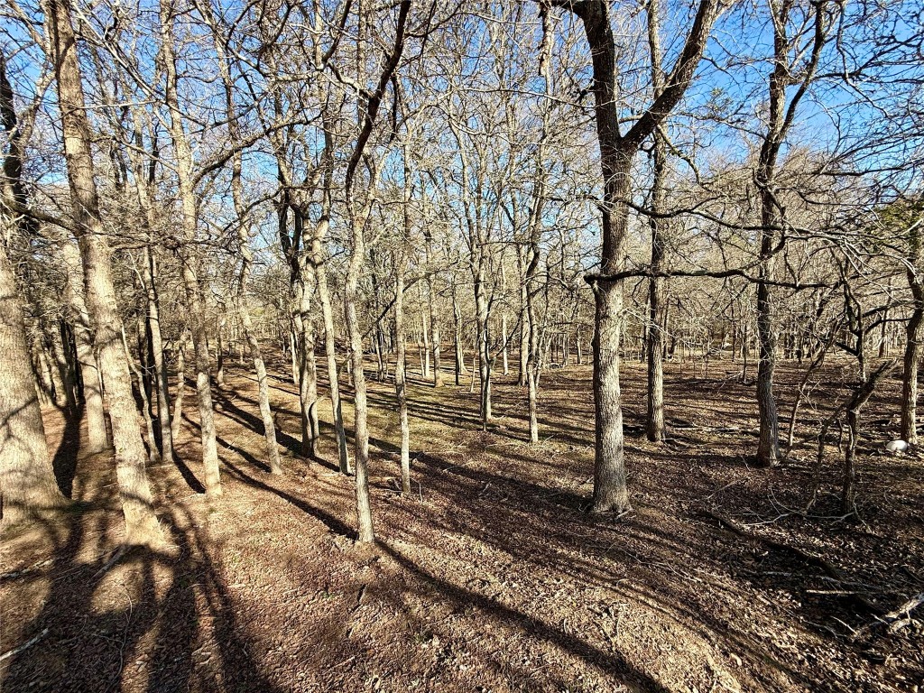 685 Fox Lane Lockhart, TX 78644 - Photo 23 of 39 View of yard