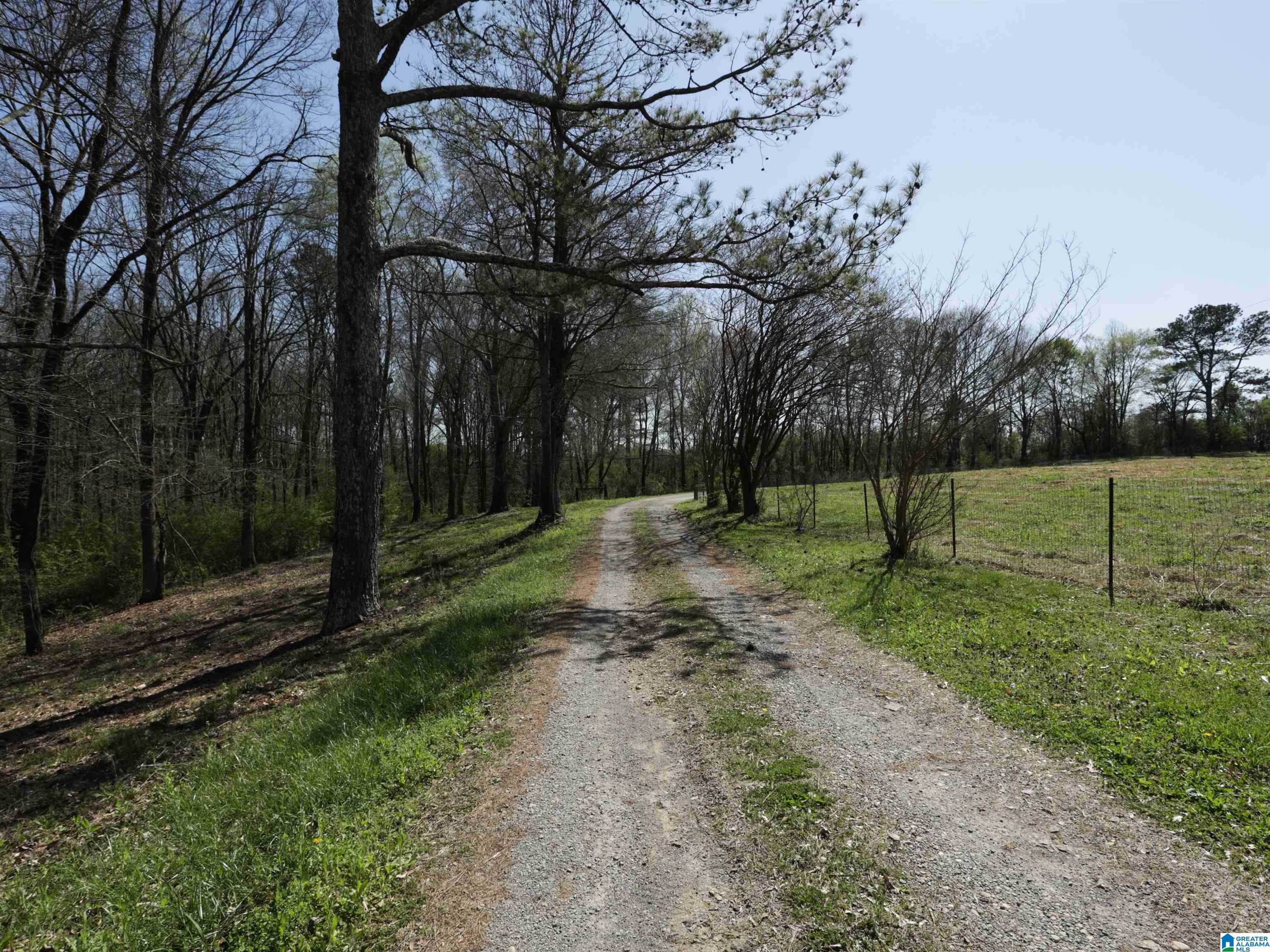 879 Timmerman Road Blountsville, AL 35031 - Photo 70 of 72