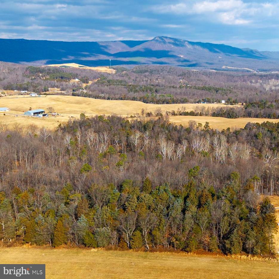 8 Promise Lane Stanley, VA 22851 - Photo 13 of 15