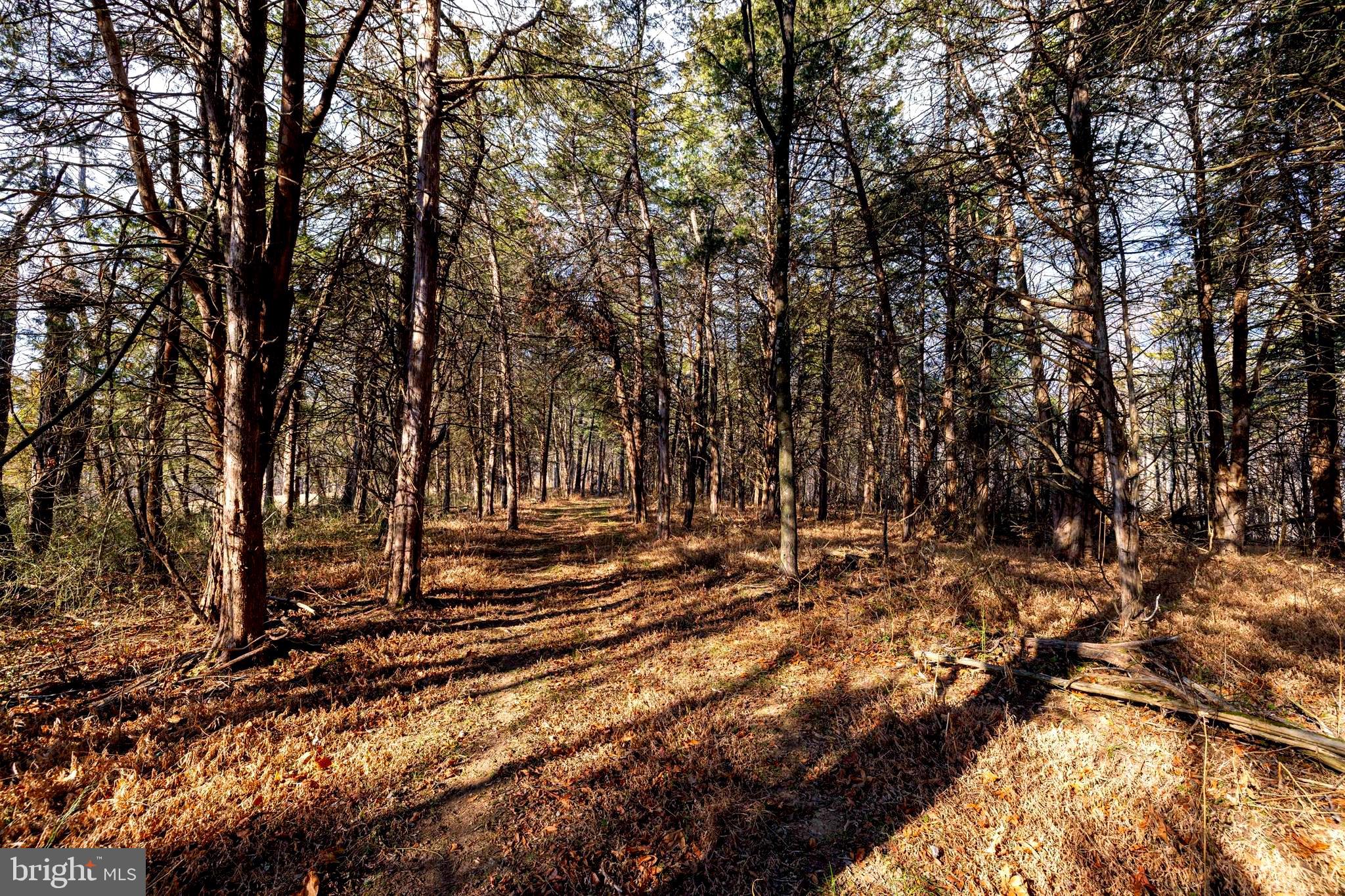 8 Promise Lane Stanley, VA 22851 - Photo 14 of 15