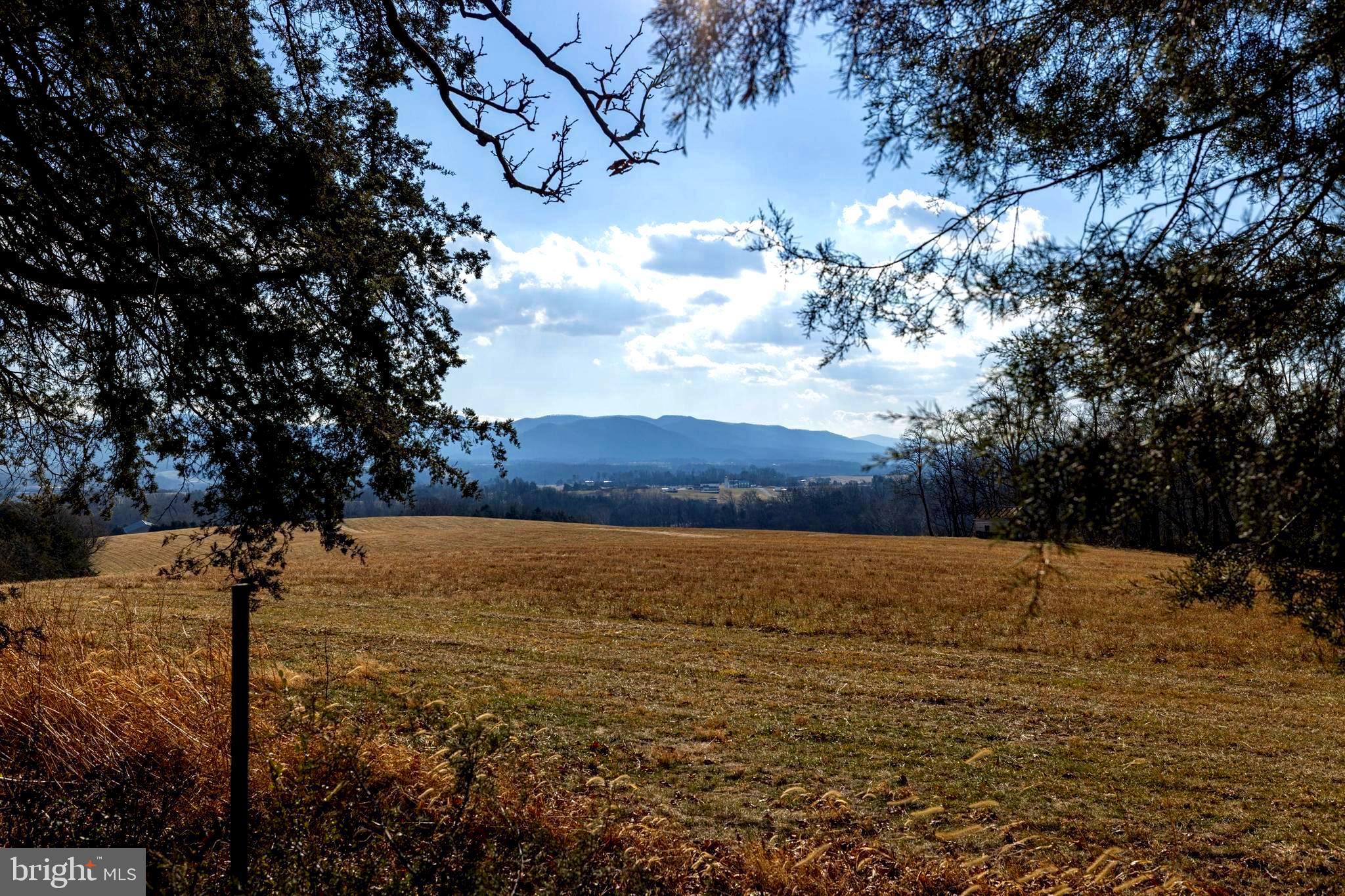 8 Promise Lane Stanley, VA 22851 - Photo 2 of 15